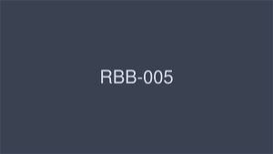 RBB-005 我不能告訴任何人，也不想讓任何人知道。禁止亂倫 16 小時