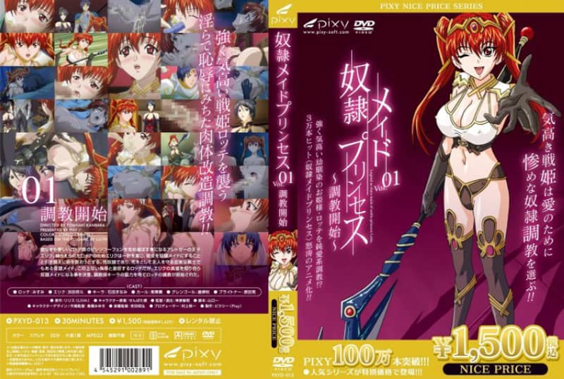 奴隶女仆公主 Vol.01 开始训练 (DL 704x396 H264_AAC VFR)